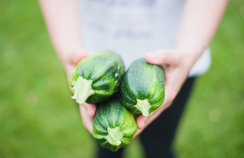 Summer Harvesting